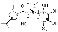 Lincomycin hydrochloride